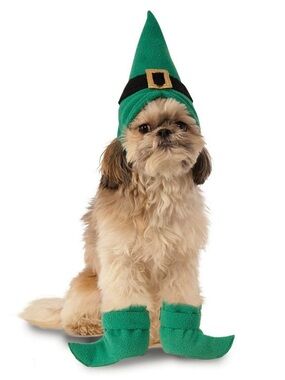 Elf Christmas Pet Dog Costume
